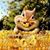 Blanid-Blanche Topping Ronchetti's profile image