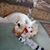Eileen Sickles's profile image