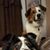 MarkMaria Satterfield's profile image