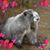 Sharon Scull's profile image