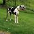 Mindy Whealdon's profile image