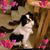 Maryella Millican's profile image