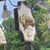 Maryann Liles's profile image