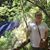 Laura Sayre Solkey's profile image