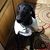 Joseph R. Krupa's profile image