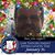 Julio Jmar Marin's profile image