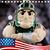 Carol A. Soriano's profile image