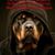 Gus Caparrelli's profile image