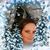 Penny Roten's profile image