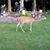 Roxanne Carlucci Hoover's profile image