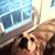 Marianne Steverson's profile image