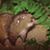 Darrell Debs's profile image