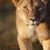 Latoya Watley's profile image