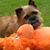 Lori Warren Newsome's profile image