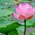 Xuan Dang's profile image