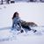 Shawna Cantrall's profile image