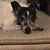 Gail Eve Malatesta's profile image