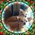 Cathey Gibson Knight's profile image