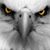 Marc Edwards's profile image
