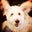 Jim W's profile image