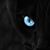 Hastings Shannon's profile image