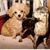 Audrey Anderson's profile image