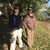 Joshua W. Puckett's profile image