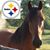Randy Dunn's profile image
