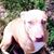 Joe Barron's profile image