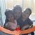 Maria Salazar's profile image