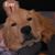 J Alberto Lopez's profile image