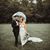 Brianna Sandstrom's profile image