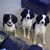 Lisa Ortiz Watters's profile image