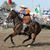 Maureen Callahan's profile image