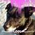 Barbara Barr's profile image