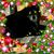 Chris Rossman's profile image