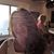 Laurie DeOliveira Barba's profile image