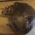 JoEva Peabody's profile image