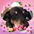 Tina Casella's profile image