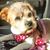 Pamela Grigsby's profile image