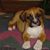 Kevin Eller's profile image