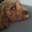 Sara Beving's profile image