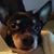 Peggy Heffner's profile image