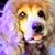 Beatriz Sayan Cree's profile image