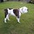 Carolyn Newcomb's profile image