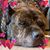 Debbie Collins-rice's profile image