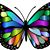 Rose Walsh's profile image