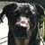Sandy Nortum Smitsky's profile image