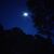 Maryanne Rizzi's profile image