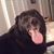 Elizabeth Stevenson's profile image